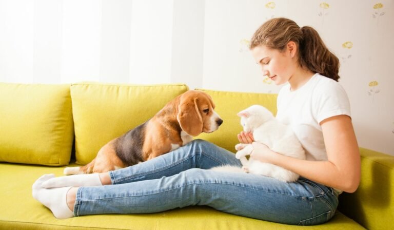 Renting a Pet-Friendly Home From An Owner